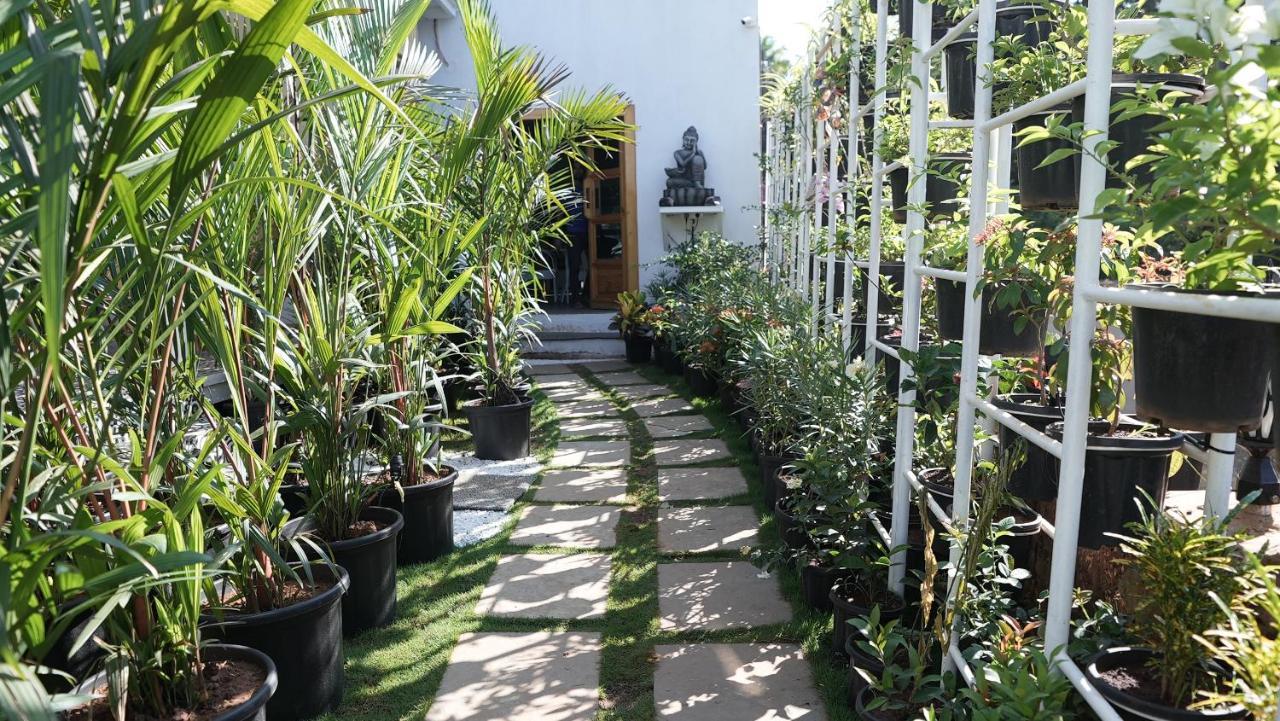 Whiteflower Resort Morjim Zewnętrze zdjęcie
